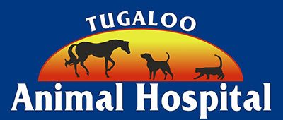 Tugaloo Animal Hospital